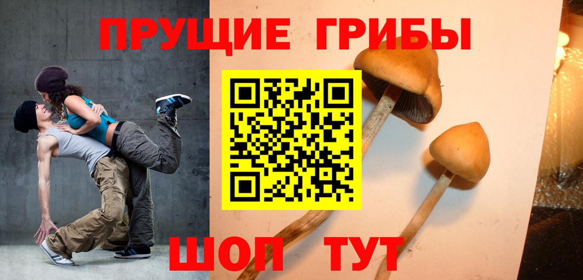 Благодарный  Галлюциногенные грибы мицелий  Вход с VPN  Галлюциногенные грибы мицелий 