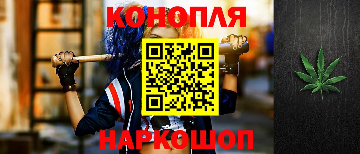 Благодарный  Канабис конопля  Шишки марихуана сатива  Бошки марихуана планчик  Конопля марихуана  Вход с VPN 